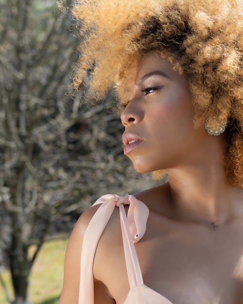 Základová fotografie zdarma na téma afro, blond, černoška