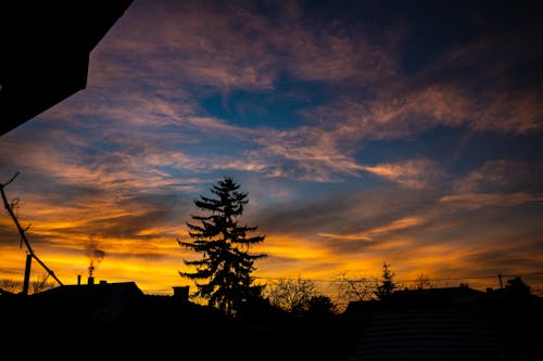 Gratis stockfoto met clowds, dennenboom, gouden lucht