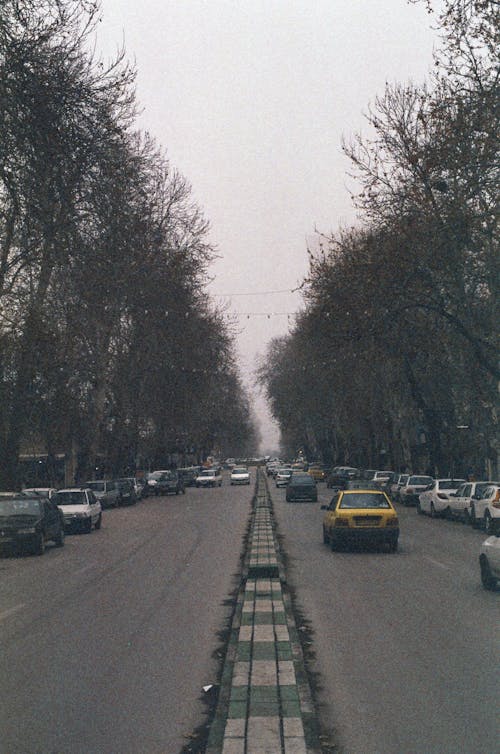 Film Photo of Cars on a Street