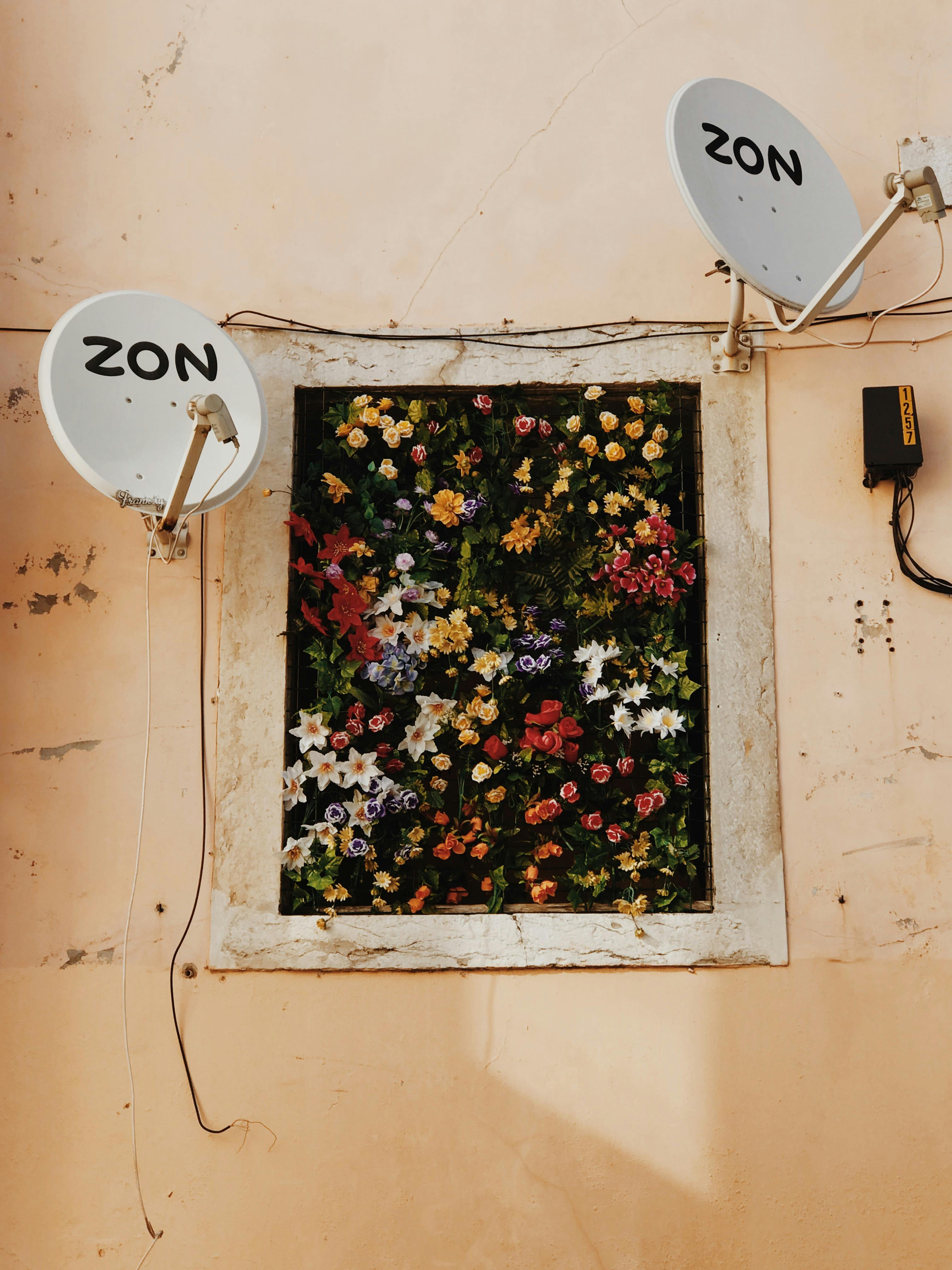 里斯本的窗户上安装了充满活力的花卉布置，并配有卫星天线