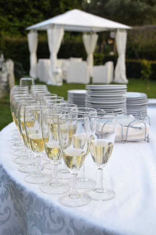 Základová fotografie zdarma na téma bílé víno, elegantní, oslava