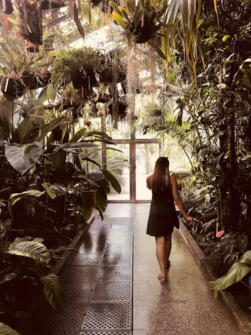 Woman Walking Near Plants