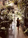 一位女士在室内植物园里，悠闲地漫步于郁郁葱葱的热带植物之间