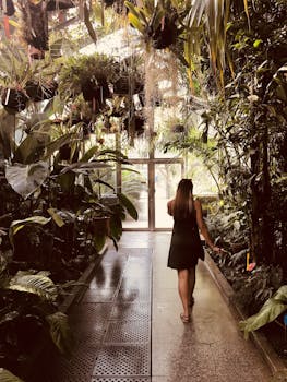 一位女士在室内植物园里，悠闲地漫步于郁郁葱葱的热带植物之间