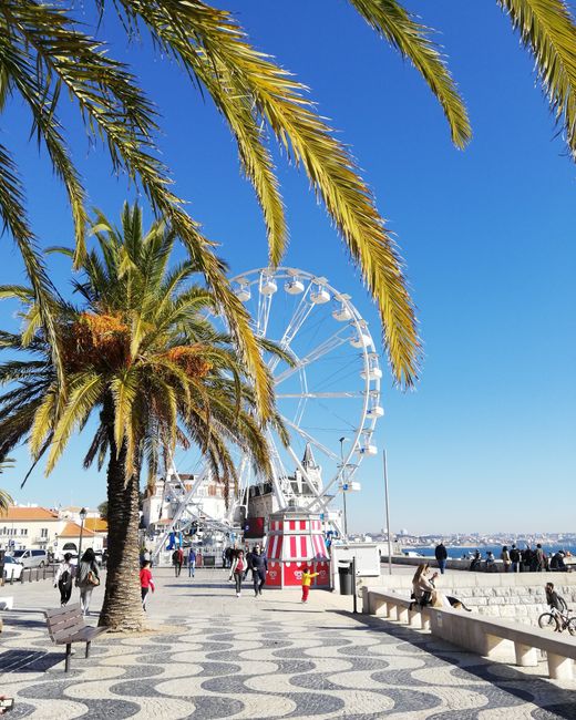 Palm trees and Ferris wheel along the waterfront promenade in Cascais, Portugal.
