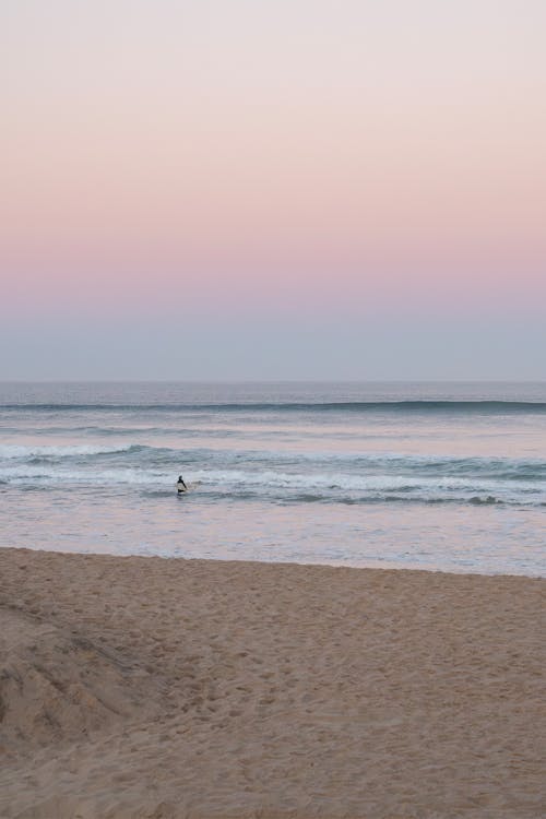 Portekiz, sörf yapmak içeren Ücretsiz stok fotoğraf