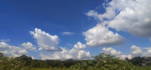 Free Nature Stock Photo