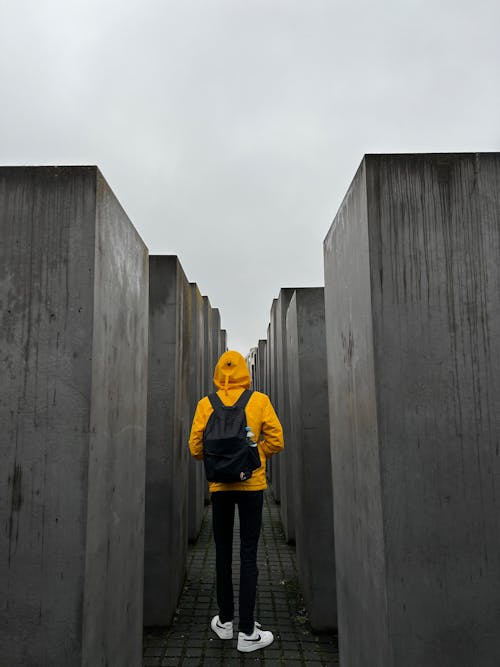 Gratis stockfoto met achteraanzicht, afsluiten, backpack