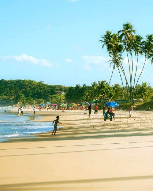 People on Beach in Summer