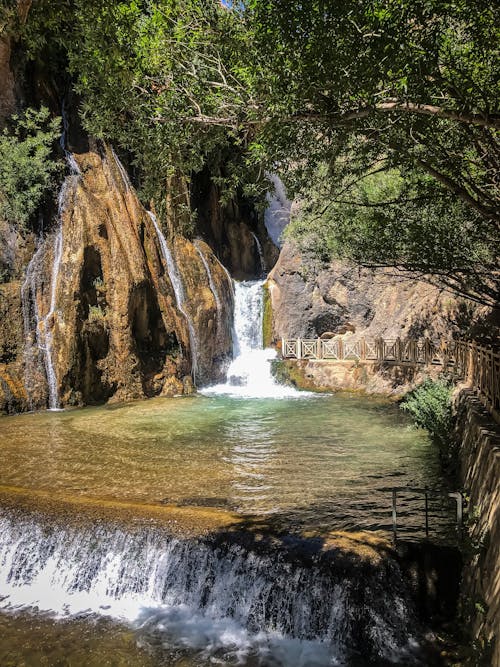 Waterfall in Forest