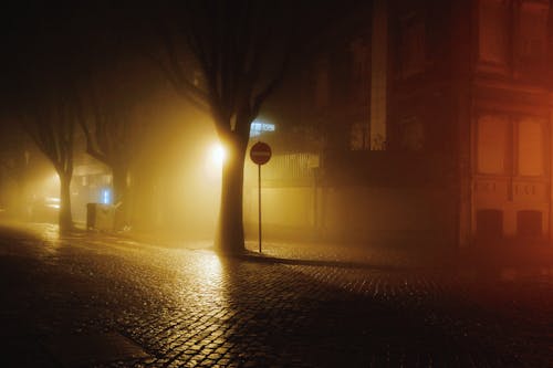 Fog over Cobblestone Street at Night