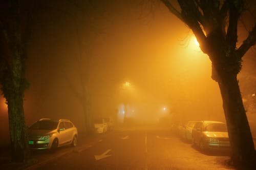Fog over Parked Cars on Street at Night