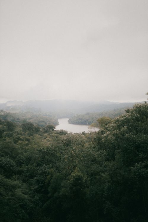 Free A breathtaking view of a misty forest landscape with a winding river, captured from above. Stock Photo
