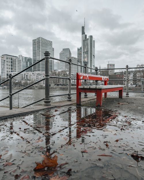 City Skyscrapers behind Bench by River