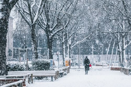 Free A person walks through a snowy urban park, surrounded by snow-covered trees during daylight. Stock Photo
