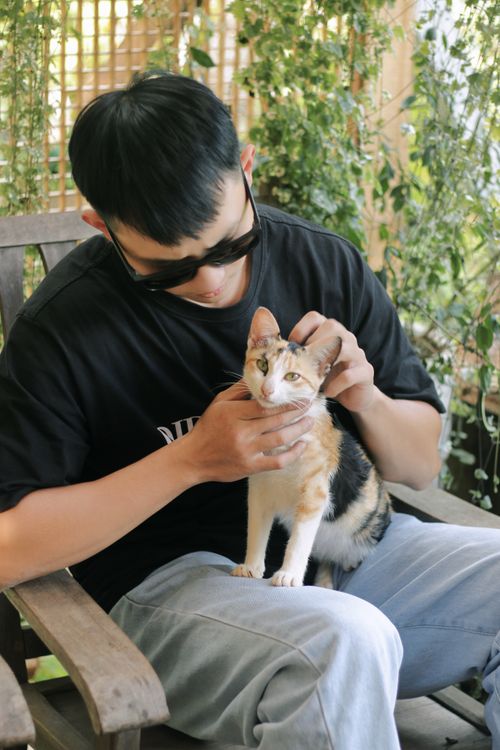 Free A young man wearing sunglasses gently petting a calico cat while sitting outdoors. Stock Photo