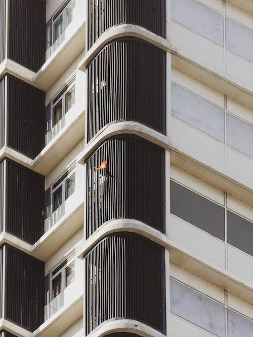 Close-up of the Exterior of a Modern Apartment Building in City 