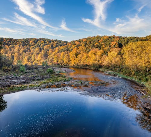 Scenic View of a River and Autumnal Forest 