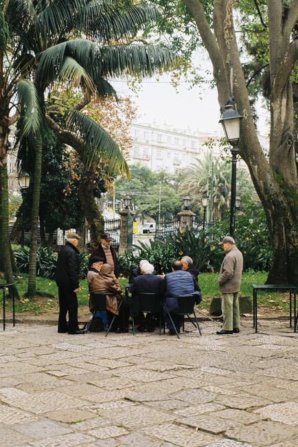 A group of elderly men gathered in a Lisbon park, enjoying a leisurely afternoon.