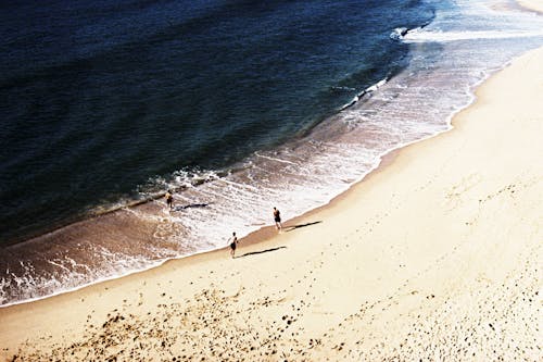 คลังภาพถ่ายฟรี ของ คน, ชายทะเล, ชายหาด