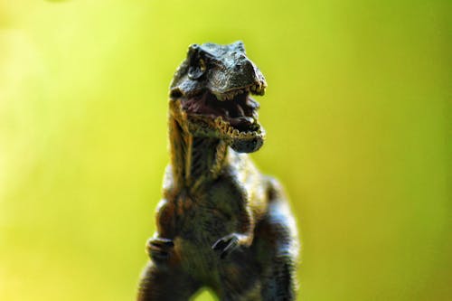 Selective Focus Photography of T-rex Toy on Green Background