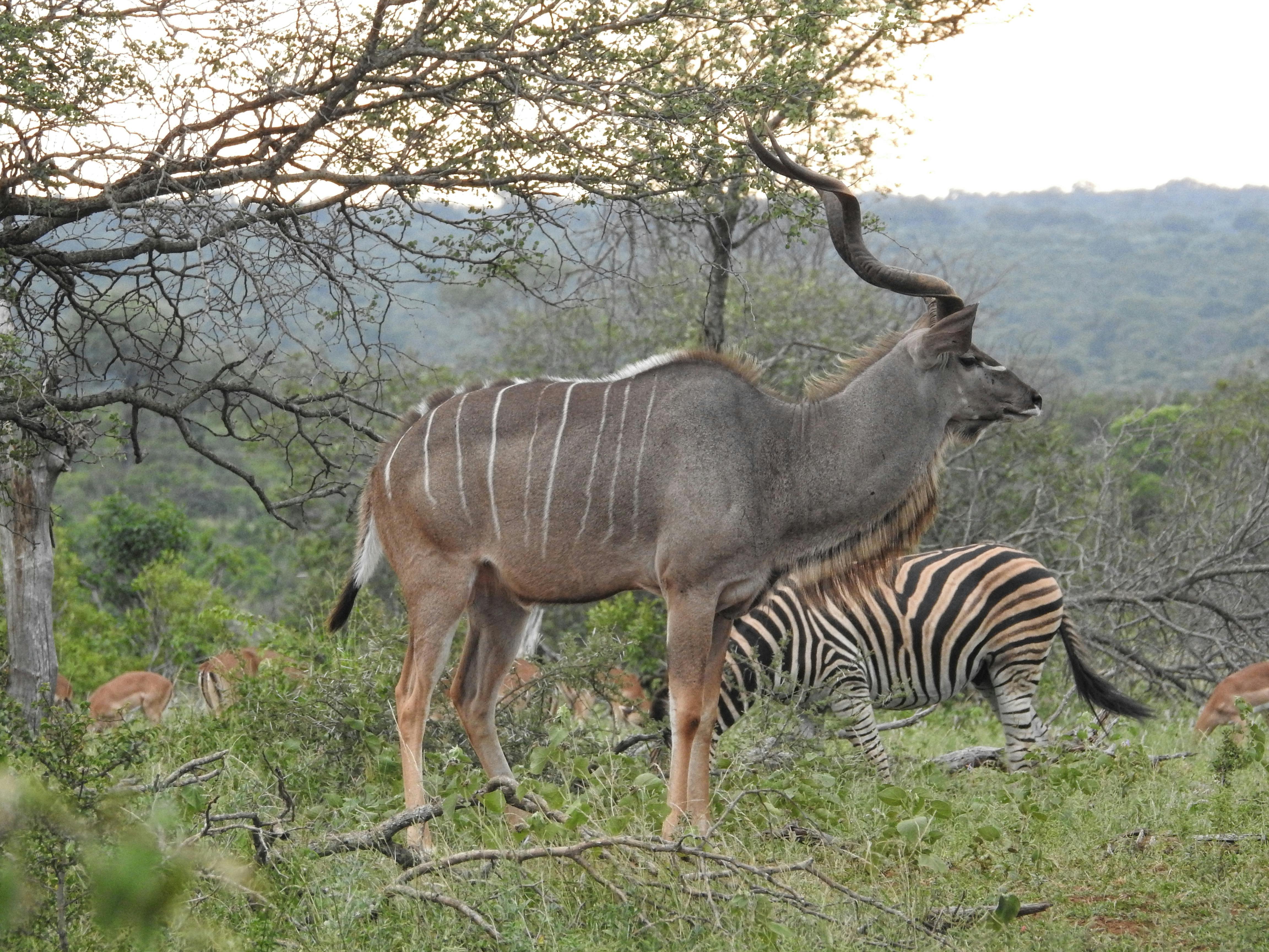 Underground River, Puerto Princesa