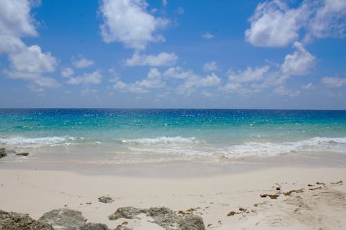 Calm Wave Rolls on Sandy Beach