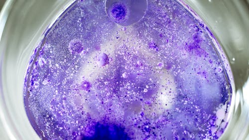 Purple Liquid in Glass 