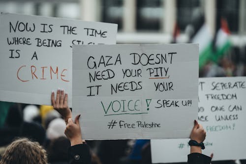 Gratis stockfoto met banners, betoging, bevrijd palestina