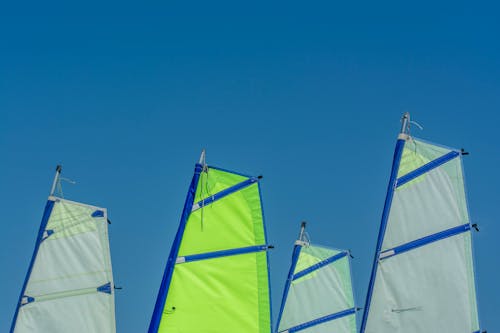 Several sailboats with green and blue sails