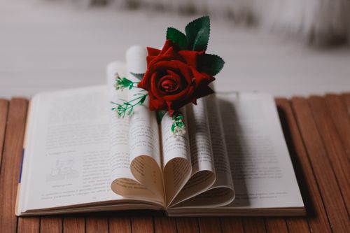 Free An open book with pages curled into a heart shape and a red rose placed on top. Stock Photo