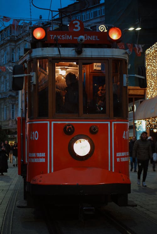 Imagine de stoc gratuită din călătorie, cicek pasaji, curcan