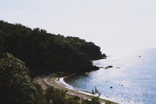 ağaçlar, deniz, deniz kıyısı içeren Ücretsiz stok fotoğraf