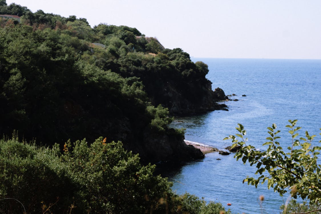 Foto profissional grátis de árvores, baía, beira-mar