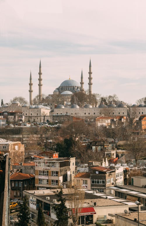 Cityscape with Suleymaniye Mosque