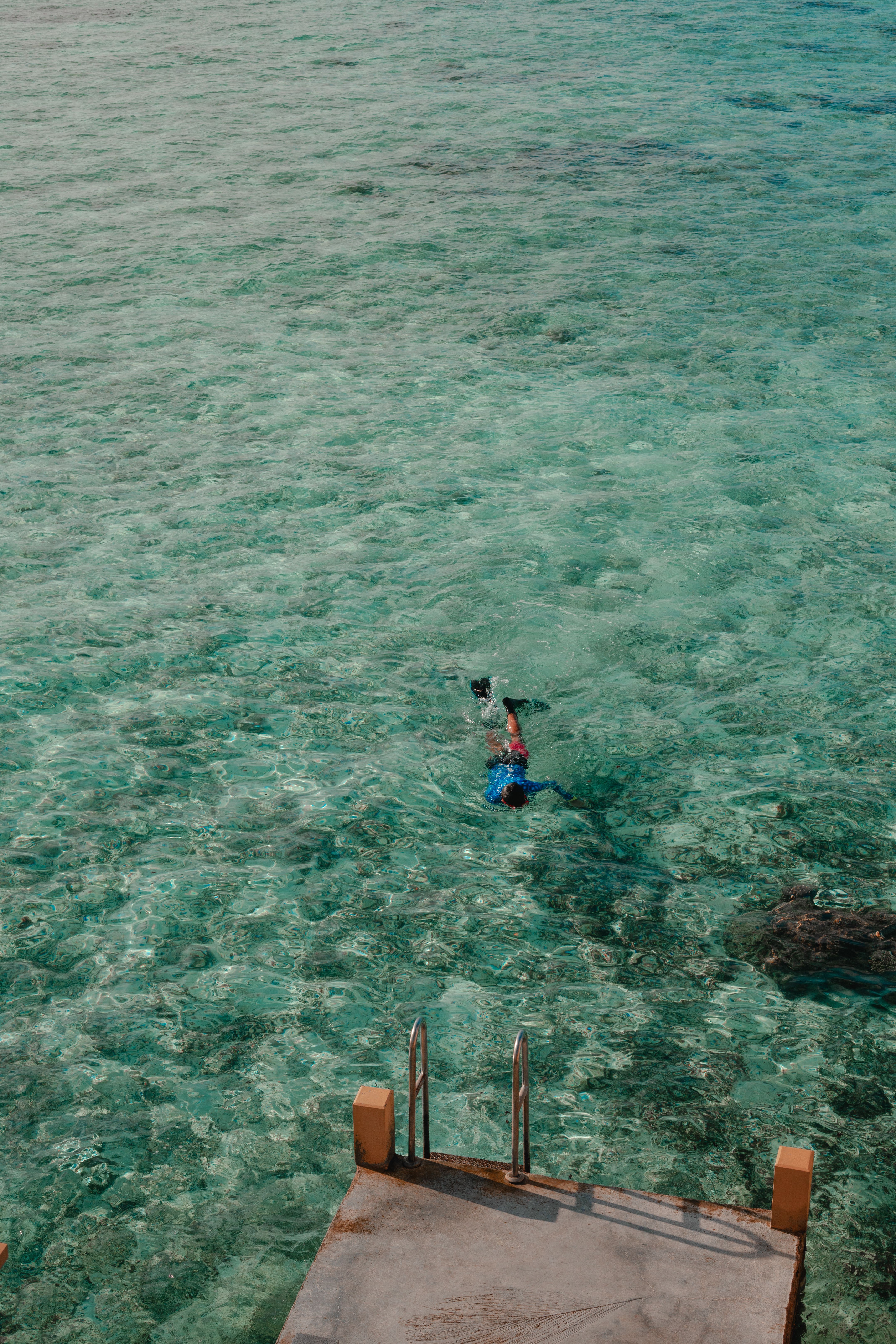 Illustration de l'article : Explorer les fonds marins en famille : les plus belles destinations pour faire du snorkeling