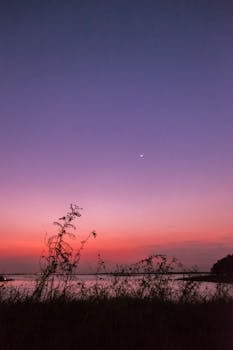 黄昏时分，湖畔宁静，青草的轮廓映衬着鲜艳的日落天空和新月