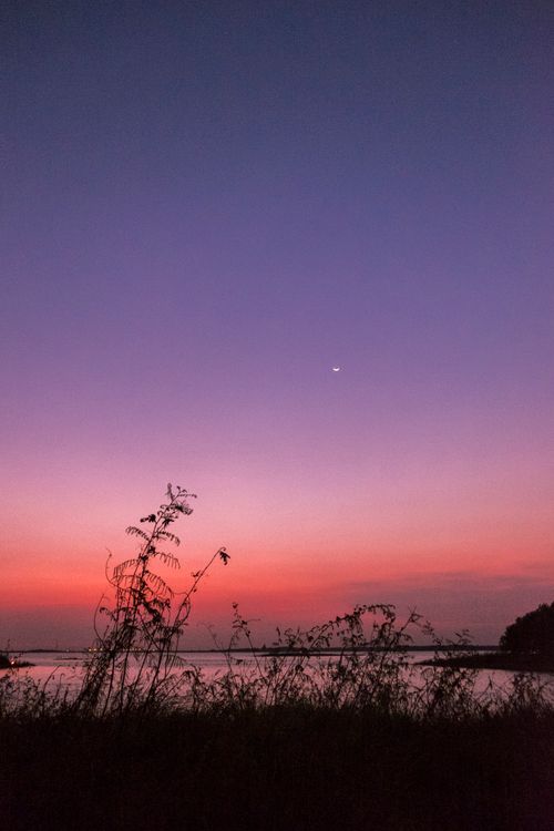 Free Tranquil scene of a lakeside at twilight with the silhouette of grass against a vivid sunset sky and a crescent moon. Stock Photo