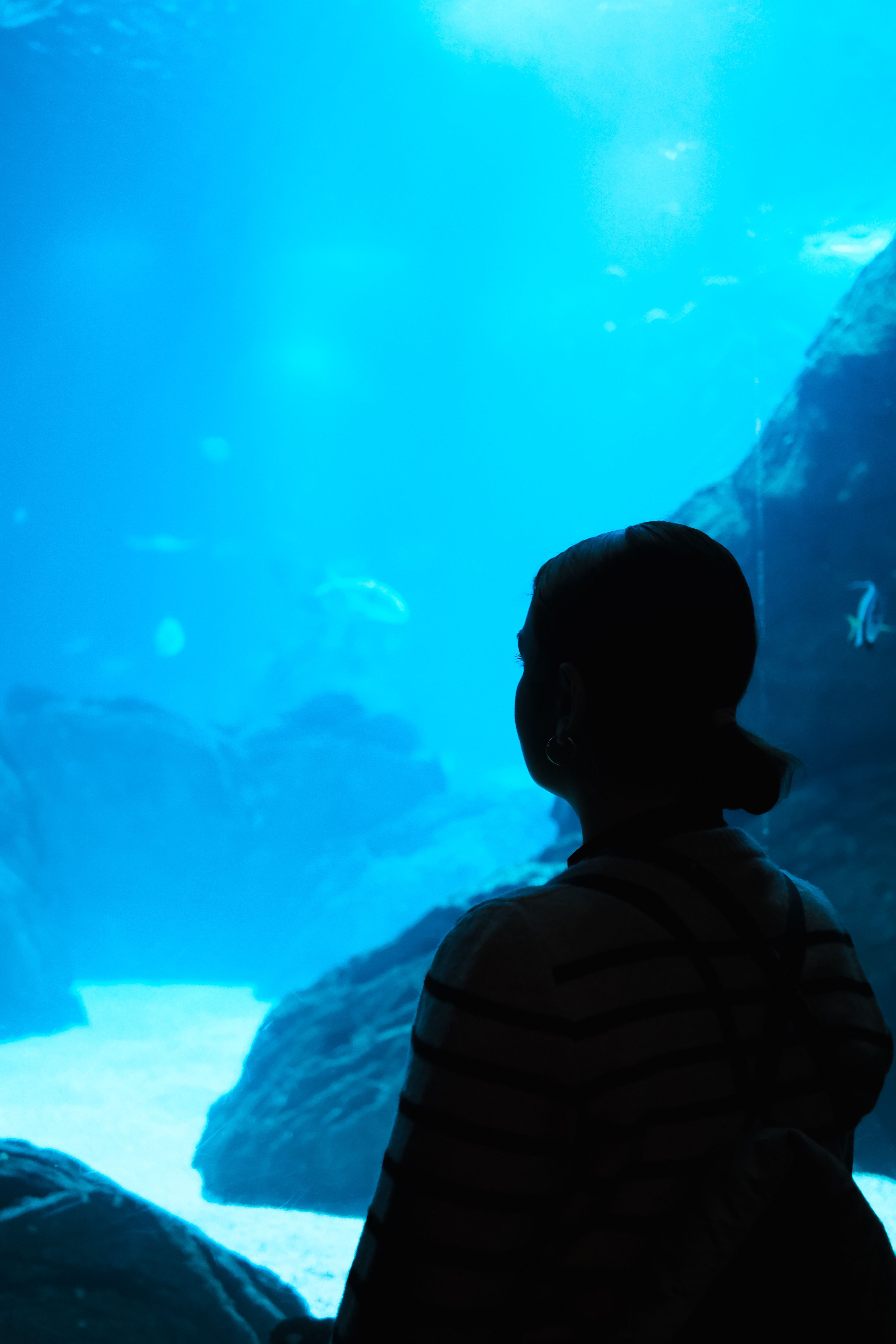 Lisbon Oceanarium