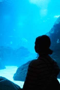 Silhouette of a woman observing fish in a vibrant underwater aquarium in Lisbon.