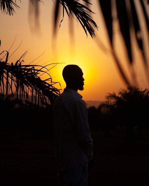 Silhouette of an adult man standing among palm trees during a vibrant sunset in Enugu, Nigeria.
