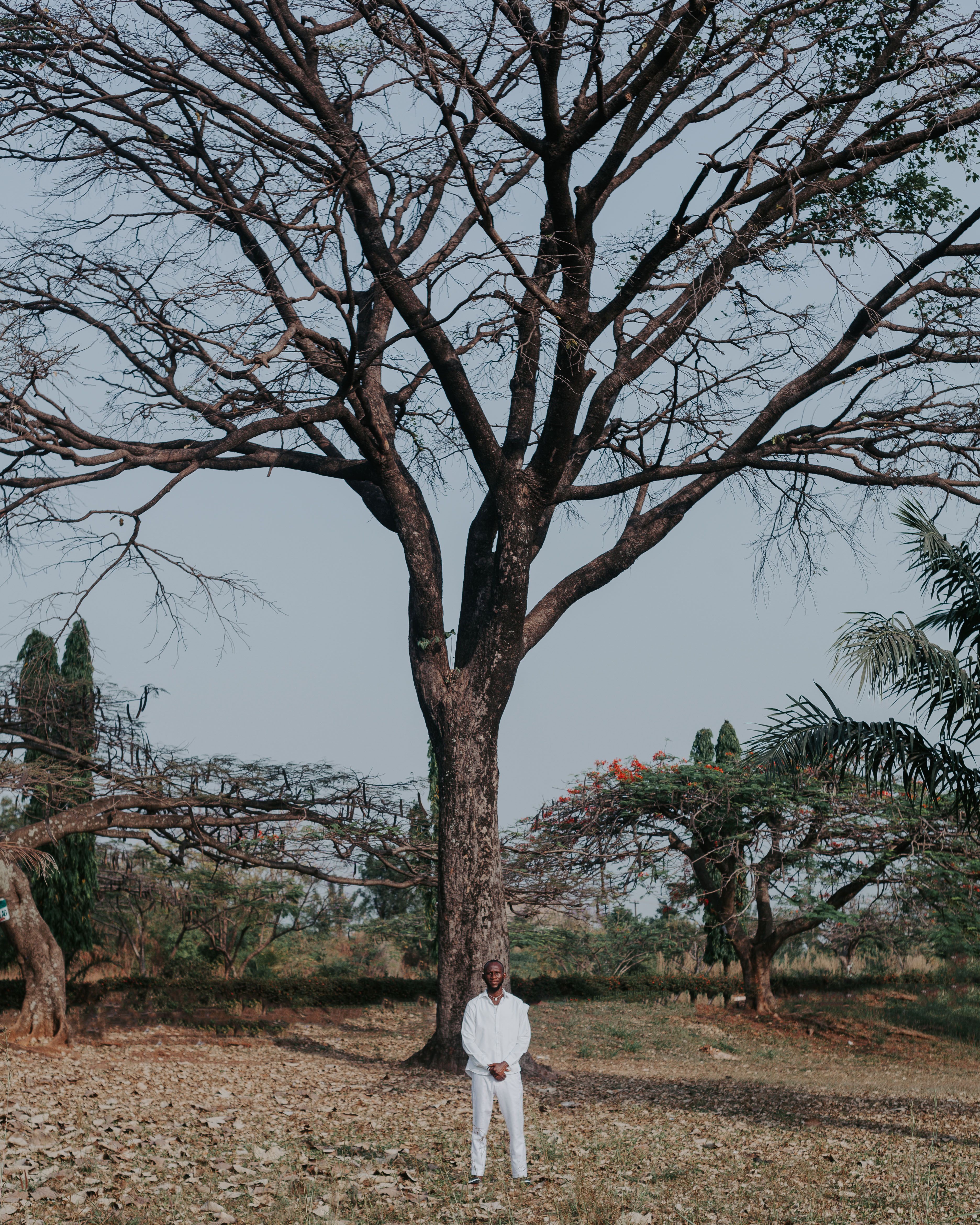 Man in a White Outfit Standing in front of a Large, Leafless Tree ...