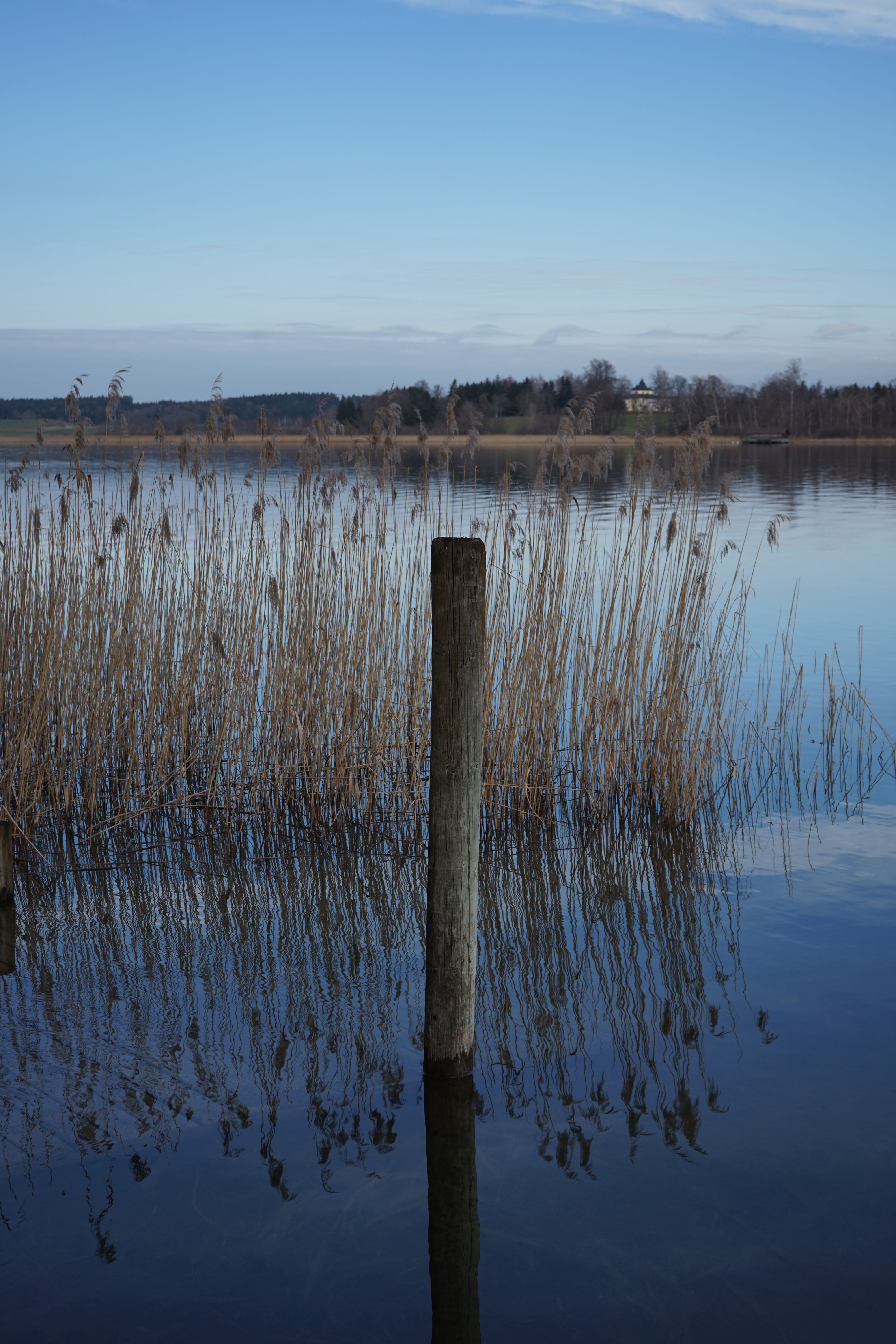 Calm reflections on Chiemsee lake featuring a solitary wooden post and reed bed.