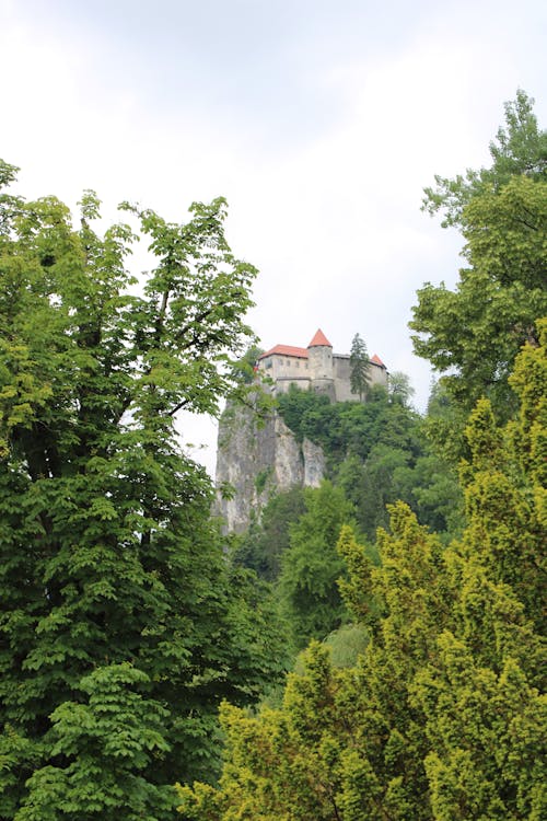 Bled Castle on Rocks over Forest