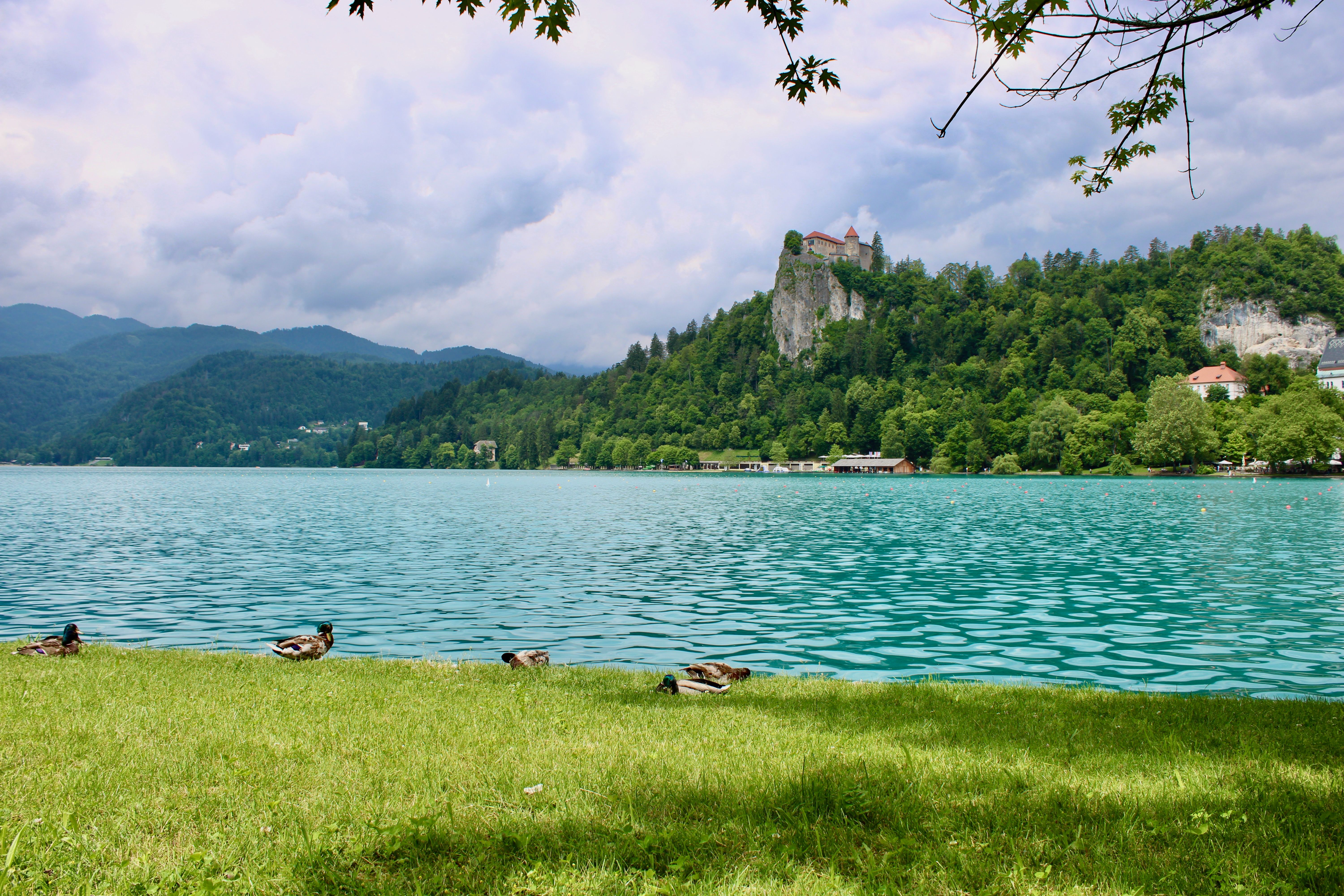 Ascension Hypnosis Practice Slovenia 1