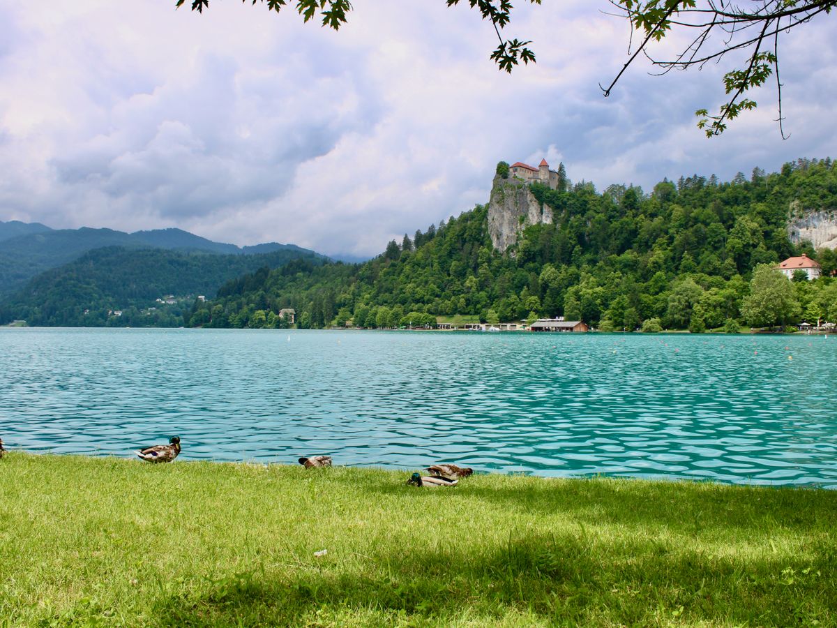 Ascension Hypnosis Practice Slovenia 1