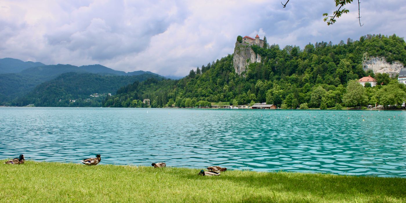 Bled Castle overlooking Lake Bled in summer with island church visible