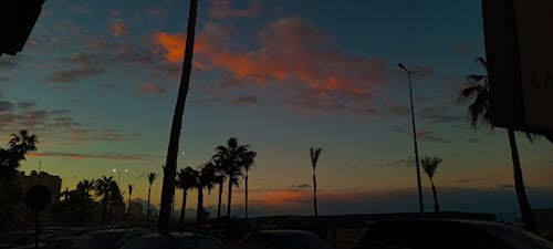 Beach sunset,palm trees and cars 