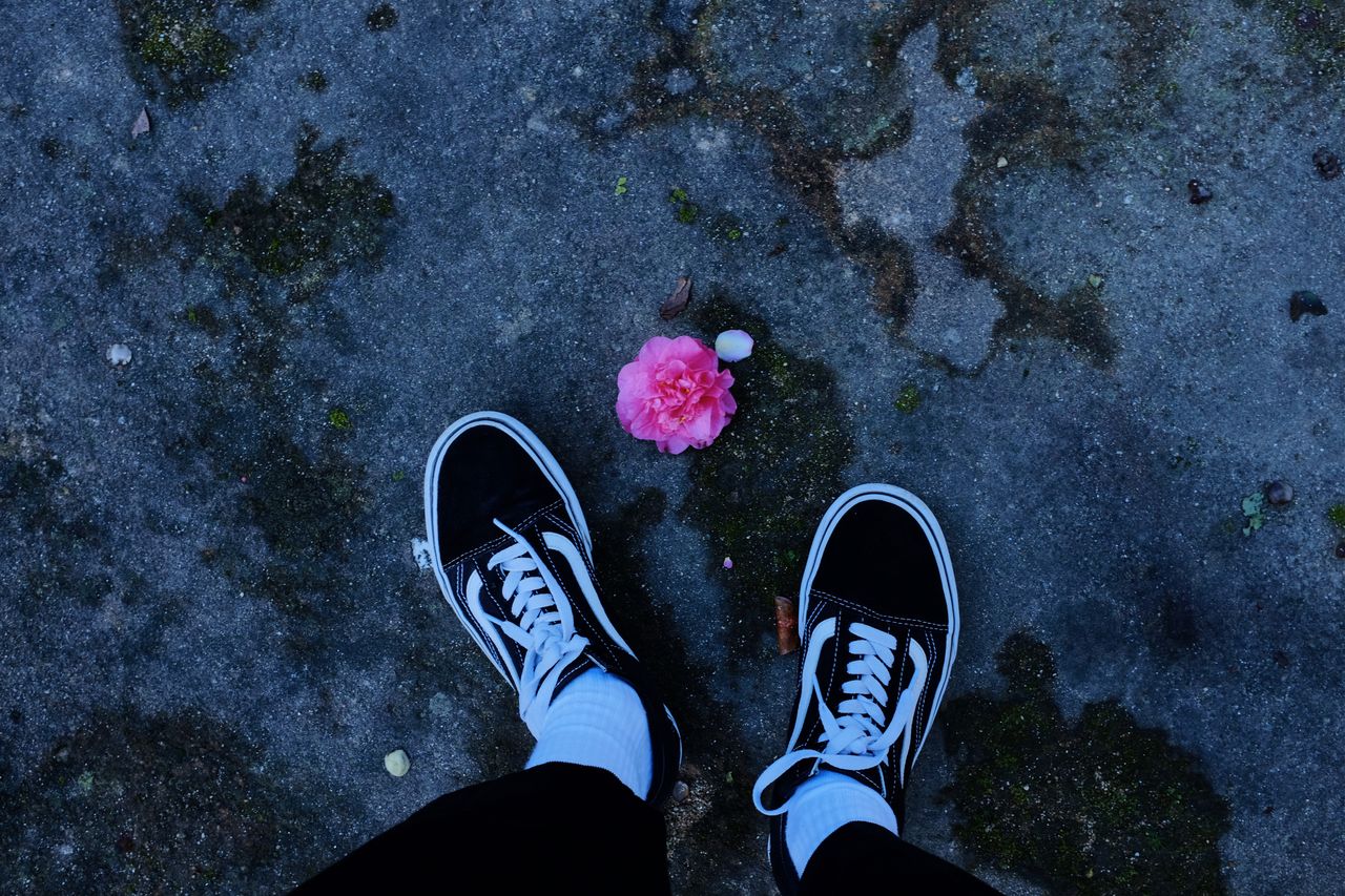 aerial view of black shoes near a pink flower on a mossy pavement in p