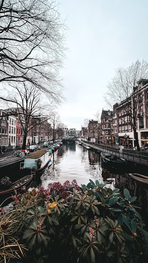 Foto profissional grátis de Amsterdã, canal, cidade